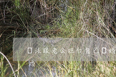 沒法跟老公坦白自己離婚有孩子(有孩子了離婚)