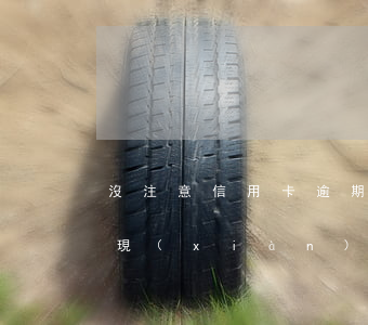 沒注意信用卡逾期了三個月后才發(fā)現(xiàn)-沒注意信用卡逾期了三個月后才發(fā)現(xiàn)怎么辦