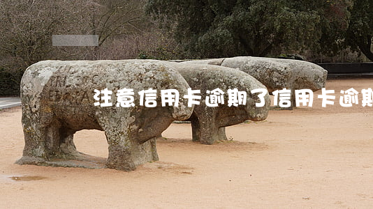 沒注意信用卡逾期了（信用卡逾期在哪里提問）