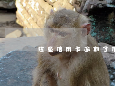 沒注意信用卡逾期了（信用卡逾期攻略）