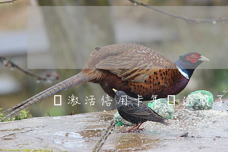沒激活信用卡年費逾期了(未激活信用卡年費)