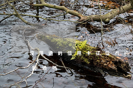沒用過的信用卡征信有逾期(從沒逾期過,征信能過嗎?)