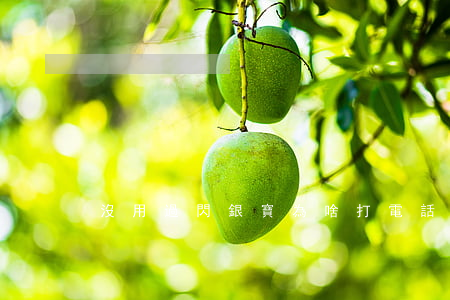 沒用過閃銀寶為啥打電話讓還款-