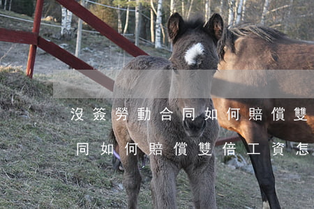 沒簽勞動合同如何賠償雙倍工資(沒簽勞動合同如何賠償雙倍工資怎么算)