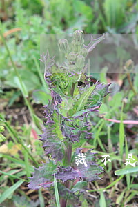 沒簽勞動合同怎么仲裁(沒簽勞動合同怎么仲裁不是公司原因員工離職)