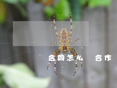 沒簽合同怎么辦(合作沒簽合同怎么辦)