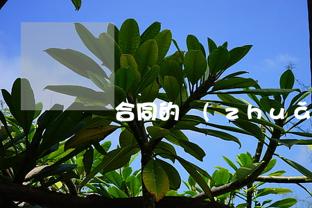 沒簽合同的轉(zhuǎn)讓費可以退嗎