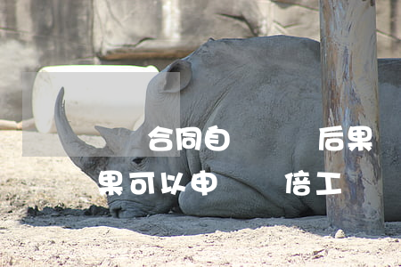 沒簽合同自動離職后果(沒簽合同自動離職后果可以申請雙倍工資嗎)