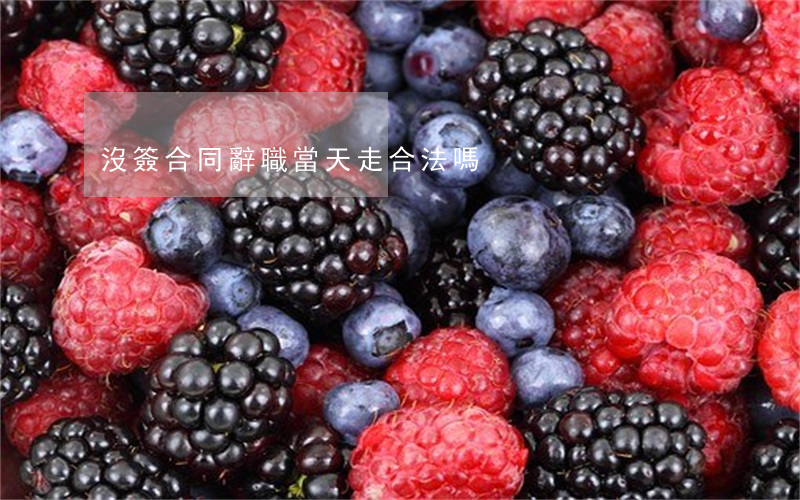 沒簽合同辭職當天走合法嗎