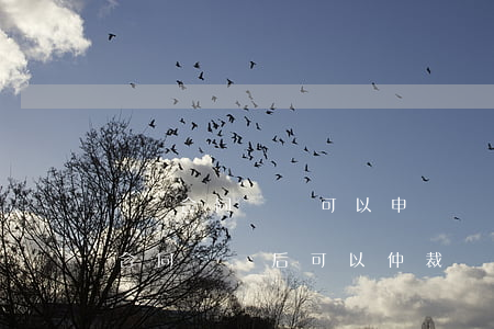 沒簽合同離職可以申請勞動仲裁嗎(沒有勞動合同離職后可以仲裁嗎)