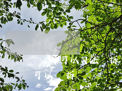 沒簽字可以司法強拆嗎(國有土地房屋不簽字可以強拆)
