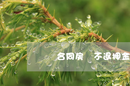 沒簽訂合同房東不退押金怎么辦