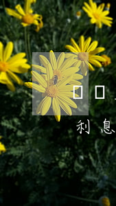 沒約定利息的欠條逾期怎么收利息-沒約定利息的欠條逾期怎么收利息呢