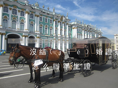 沒結(jié)婚證孩子能落戶嗎（未婚先孕怎么辦準生證）