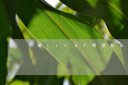 沒結(jié)婚證怎么起訴離婚