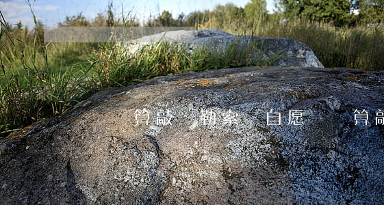 沒給錢算敲詐勒索嗎(自愿給錢算敲詐勒索嗎)