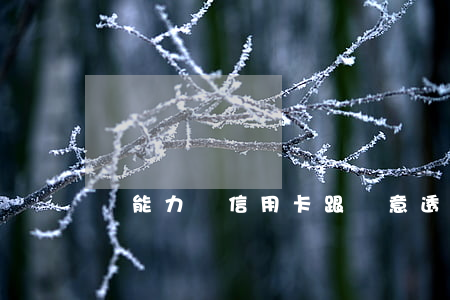 沒能力還信用卡跟惡意透支