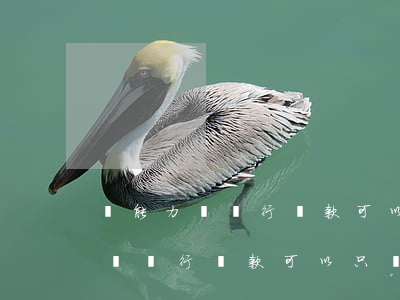 沒能力還銀行貸款可以只還本金嗎-沒能力還銀行貸款可以只還本金嗎