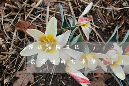 沒被法院凍結(jié)的資金可以用嗎(法院受理就能凍結(jié)資產(chǎn))