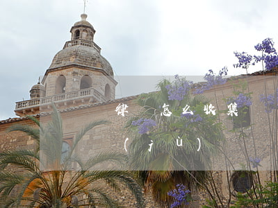 沒請律師怎么收集證據(jù)(律師怎么找證據(jù))