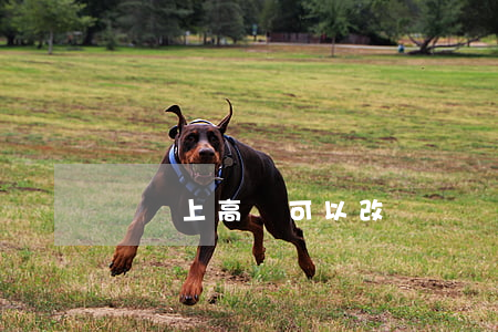 沒趕上高鐵可以改簽嗎