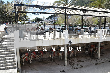 沒身份證戶口本可以去法院嗎(不給戶口本可以去法院起訴嗎)