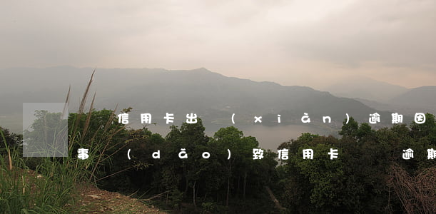 沒辦信用卡出現(xiàn)逾期(因為出了事導(dǎo)致信用卡沒還逾期嚴重怎么辦)