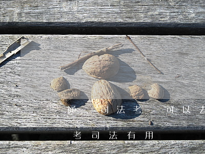 沒通過司法考試可以去做律師助理嗎(不做律師考司法有用嗎)
