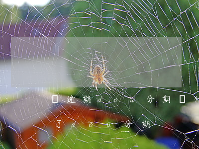 沒逾期dou分期為什么用不了(不小心開通了dou分期)