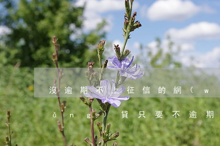 沒逾期不上征信的網(wǎng)貸(網(wǎng)貸只要不逾期就不上征信)