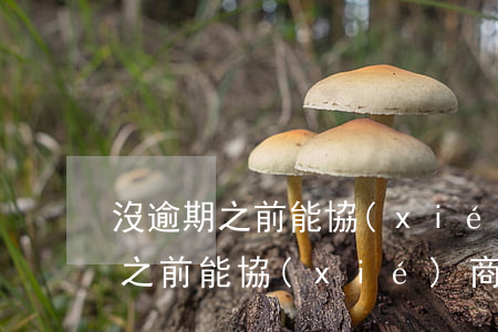 沒逾期之前能協(xié)商還款嗎(沒逾期之前能協(xié)商還款嗎)
