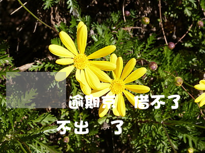 沒逾期京東借不了錢(沒有逾期為什么京東借不出來了)