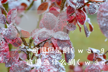 沒逾期但是網(wǎng)貸口子秒拒(沒有逾期為什么網(wǎng)貸秒拒)
