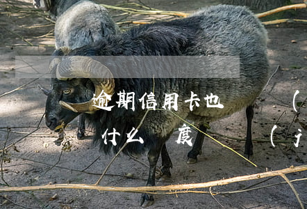 沒逾期信用卡也會凍結(jié) 沒有逾期為什么額度會凍結(jié)