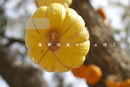 沒逾期信用卡卻止付了(沒逾期信用卡卻止付了)