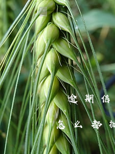 沒逾期信用卡怎么都批不下來（沒逾期信用卡怎么都批不下來）