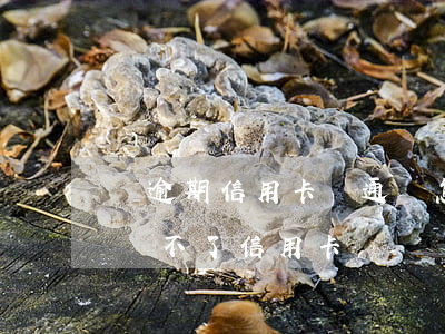 沒逾期信用卡沒通過怎么辦(有信用逾期記錄辦不了信用卡)