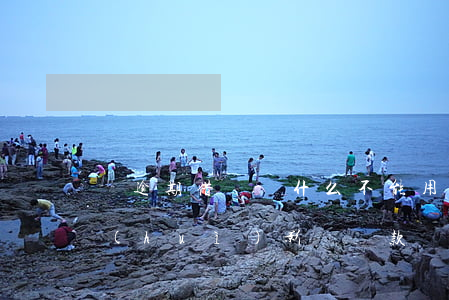 沒逾期借唄為什么不能用(借唄沒有逾期過會(huì)影響貸款嗎)