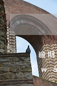 沒逾期先還網(wǎng)貸還是信用卡(網(wǎng)貸有逾期還完了能申請(qǐng)信用卡嗎)