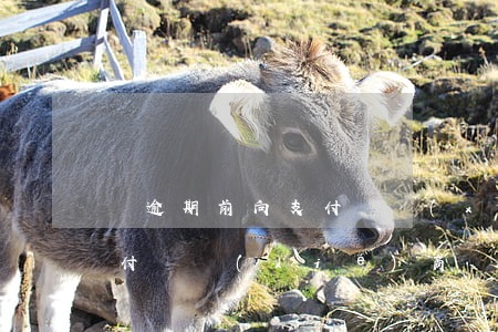 沒逾期前向支付寶協(xié)商不成功(支付寶協(xié)商還款怎么談沒有逾期)