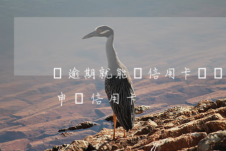 沒逾期就能辦信用卡嗎(沒逾期過為什么不能申請信用卡)