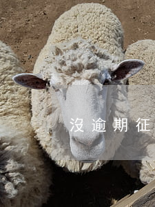 沒逾期征信影響大嗎(沒逾期征信影響大嗎)