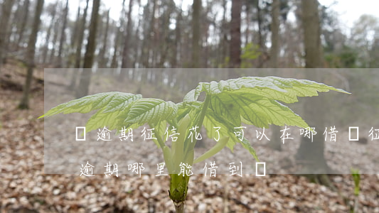 沒逾期征信花了可以在哪借錢(征信花了還有逾期哪里能借到錢)