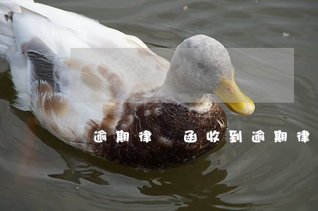 沒逾期律師函(收到逾期律師函怎么辦)
