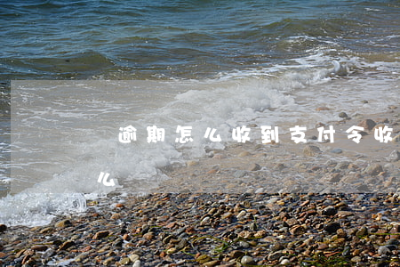 沒逾期怎么收到支付令(收到支付令沒錢還怎么辦)