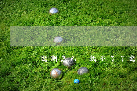 沒逾期怎么貸款不了了(逾期貸不了款怎么辦)