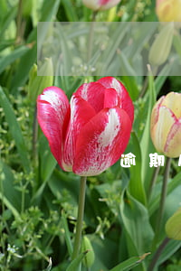 沒逾期房貸(沒逾期房貸)