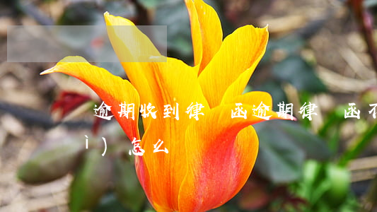 沒逾期收到律師函(逾期律師函不收會(huì)怎么樣)