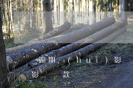 沒逾期會(huì)影響到辦貸款嗎(有逾期影響貸款嗎)