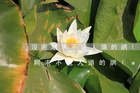沒逾期求不送人頭的網(wǎng)貸(沒逾期求不送人頭的網(wǎng)貸)